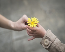 La tendresse